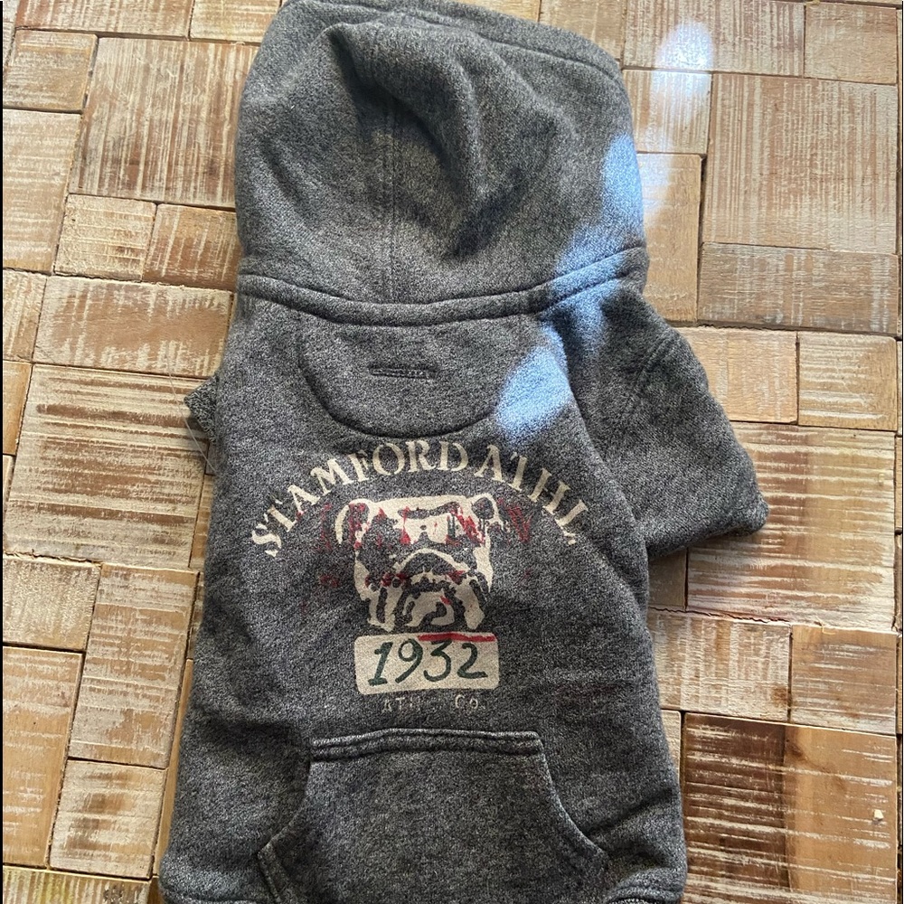 Polo athletic team dog sweater